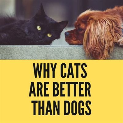 How to Be Creative in Art: Why Do Cats Paint Better Than Dogs?