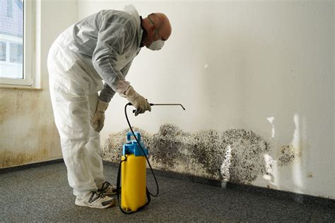 is painting over mold safe: A complex balance between safety and aesthetics