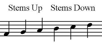 What is a Stem in Music? And Why Does It Sound Like a Botanical Symphony?